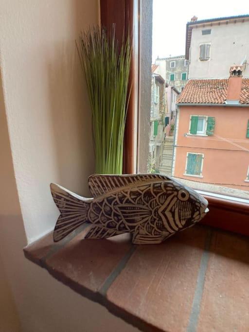 Piccolo Nido Apartamento Rovinj Exterior foto